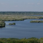 srebarna car rental